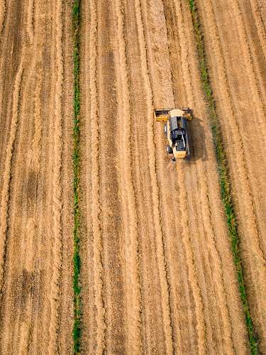 wheat aerial photography of yellow cultivator on brown field drone view