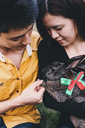 person man and woman holding rabbit animal