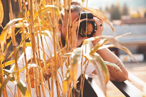 person man taking photo of bamboo plant photographer
