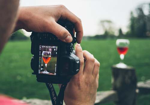person person taking photo of wine goblet people
