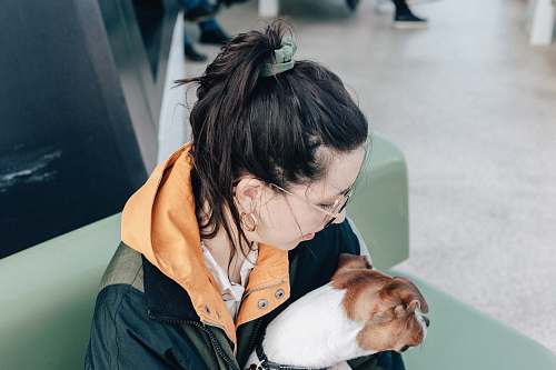 person woman carrying brown and white dog dog