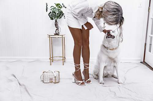 person woman holding dog's head apparel