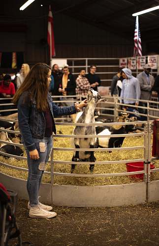 person woman holding goat inside cage apparel