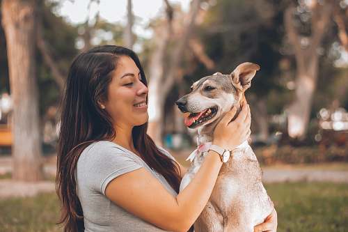 person woman playing with dog dating