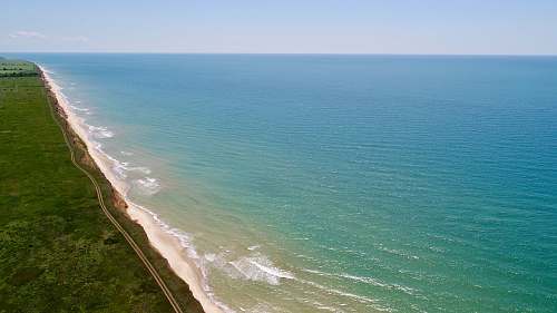 outdoors aerial photography of forest beside sea during daytime ocean
