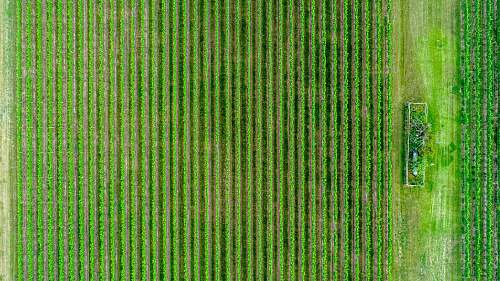 green aerial photography of green fields outdoors