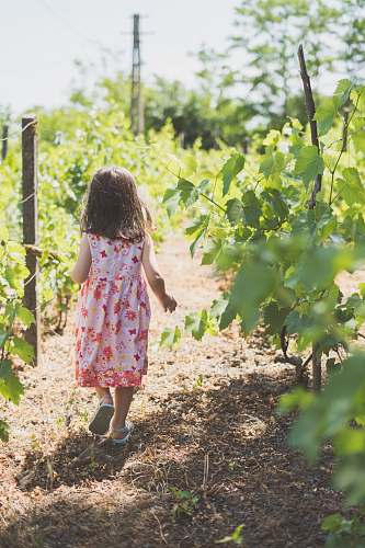 countryside girl walking near plants vineyard
