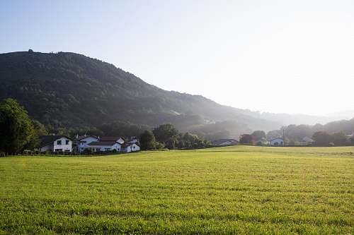 outdoors green grass field field