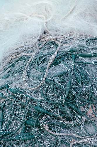 outdoors macro photography of green and white ropes ice
