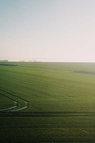 grassland green grass field field