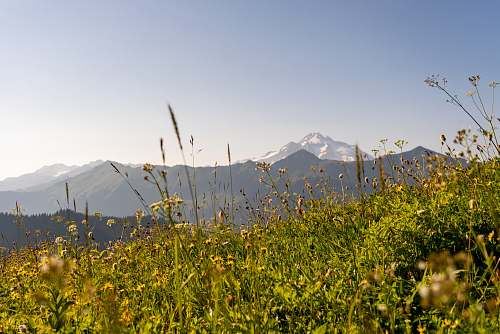 field landscape photo of black and gray mountains and green grass fields grassland