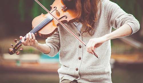 people person playing brown violin music