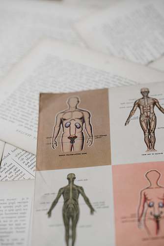 human shallow focus photo of book page people