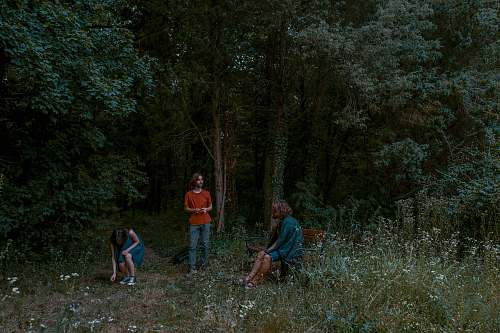 human three person near trees nature