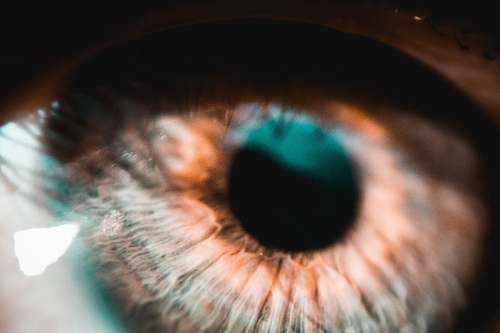 photography close-up photography of human eye contact lens