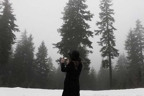 black-and-white woman takes photo at the snowfield surrounded with trees tree