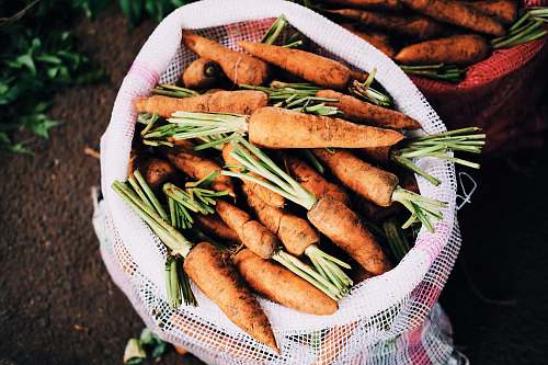food ripe carrots inside white net sack farm