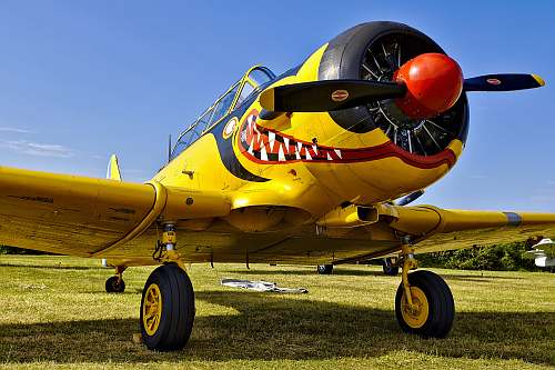 airplane yellow and black biplane on green grass transportation