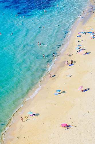 ocean aerial photography of people on beach nature