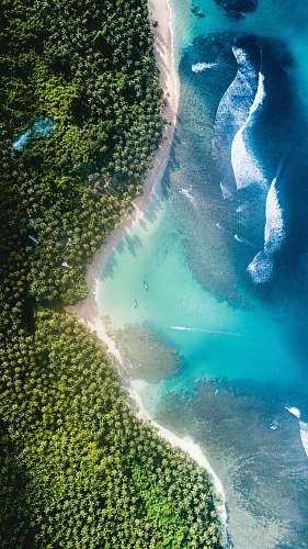 backgrounds body of water near trees at daytime wallpapers