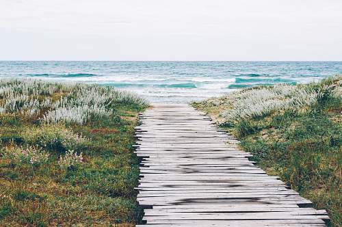 path brown wooden dock in fornt body of water sea