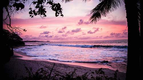 pink waves crashing through shore background