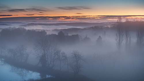 outdoors forest trees covered by fog weather