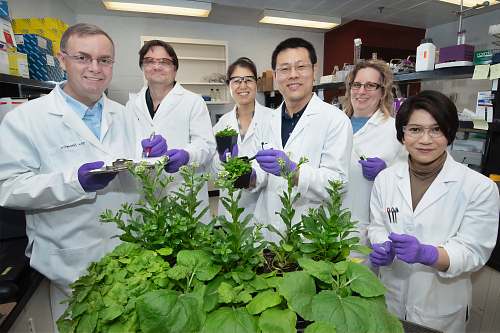 human five people standing and holding plant apparel