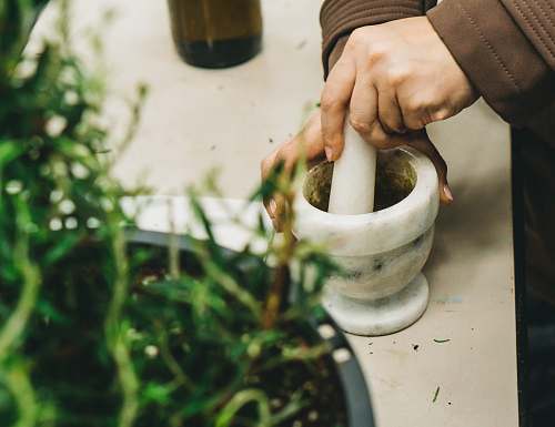human mortar and pestle on white surface plant