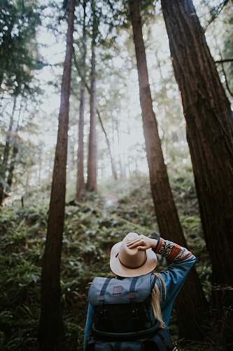 nature person wearing brown hat in forest jar