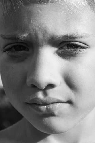 human  face