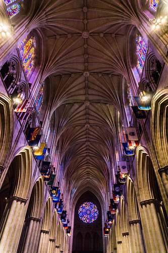 architecture low angle shot interior photography of cathedral with multicolored stained glass windows cathedral