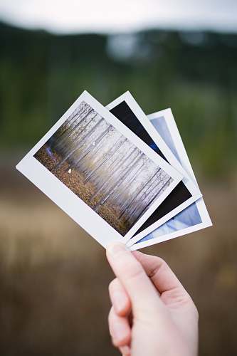 hand person holding three assorted pictures hold