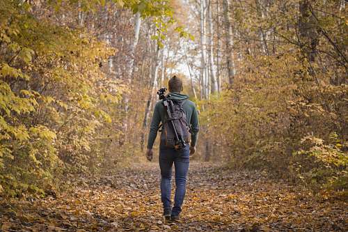 person man waling beside trees with backpack kecskemét