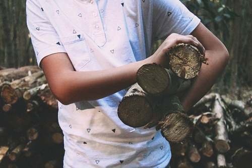 person person carrying wood log human