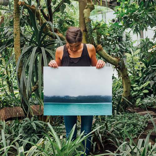 tree woman holding photo of tidal wave human