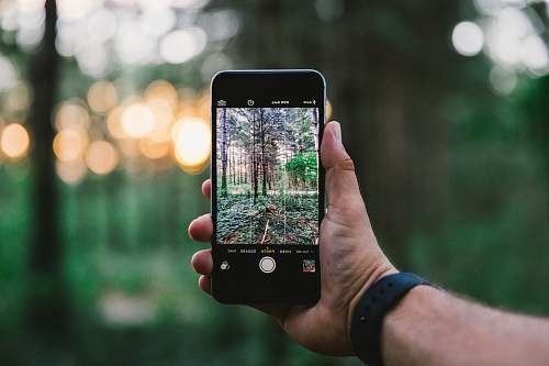 iphone selective focus photo of person taking photo of trees during daytime nature