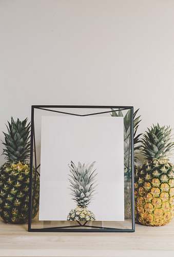 fruit pineapple fruits pineapple