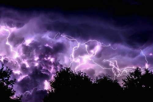 purple silhouette of trees and purple lightning thunderstorm