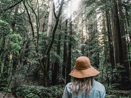 forest person wearing brown sun hat surrounded trees human