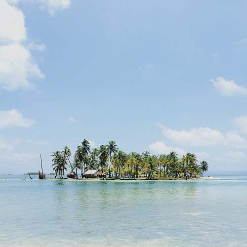 sea house near surrounded by coconut tree island