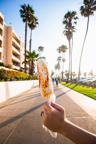 housing person holding corn tree