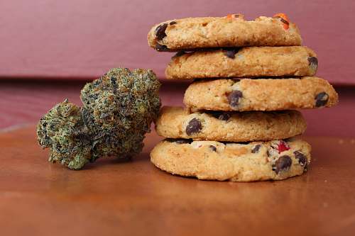 food baked cookies confectionery