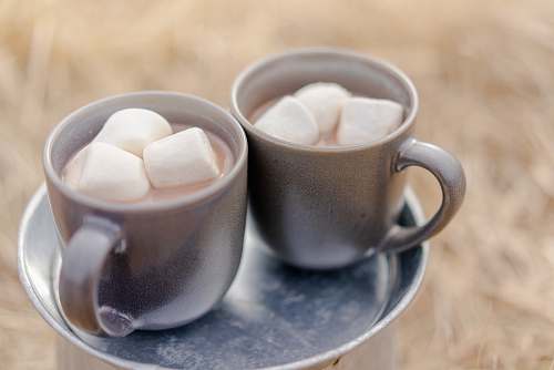 dessert two mugs of beverages and marshmallows hot chocolate