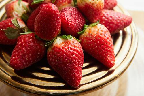 fruit  plant