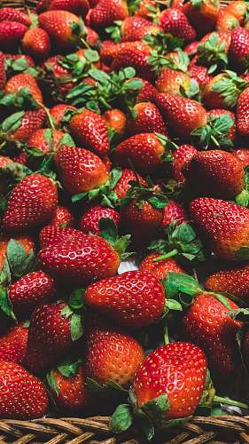 plant bunch of stawberries fruit