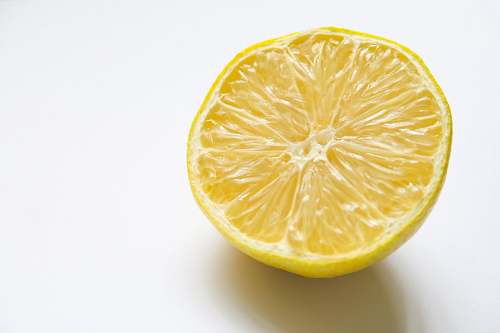 orange lime fruit plant