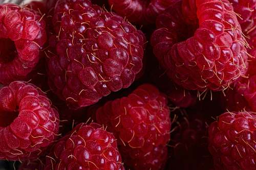 food selective focus photography of red raspberries raspberry