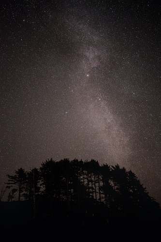 outdoors silhouette of trees under starry night night