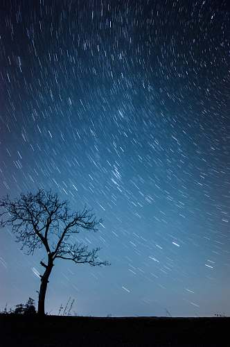 outdoors silhouette of tree astronomy